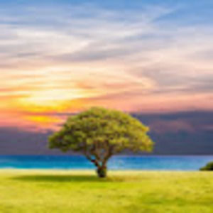 Meet your Posher, Zhenru